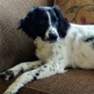 Meet your Posher, Gale